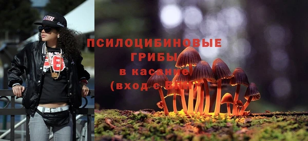 прущие грибы Алексеевка